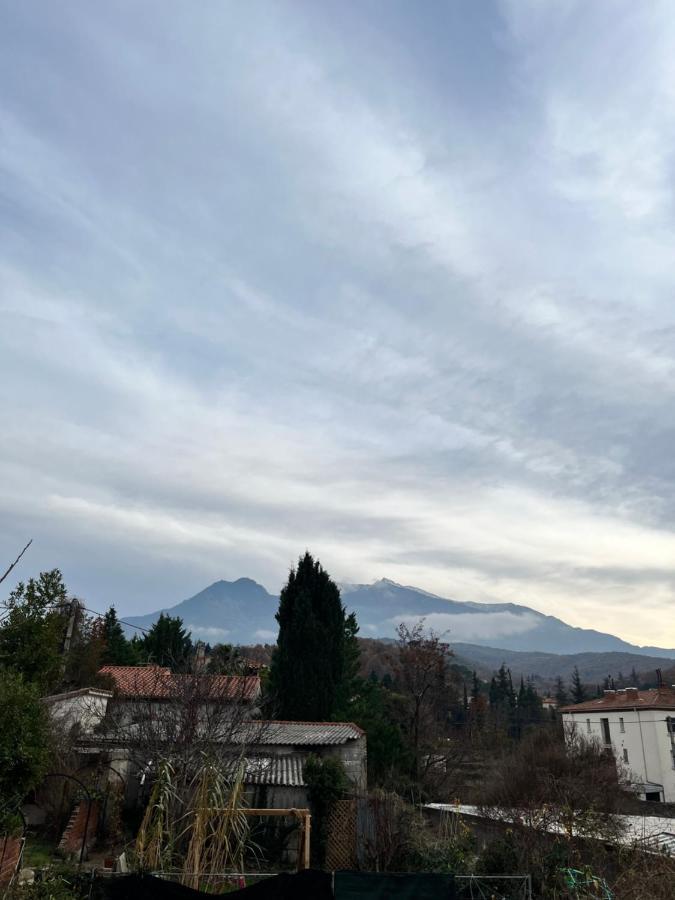 Le Cosy En Coeur De Ville Prades  Eksteriør billede